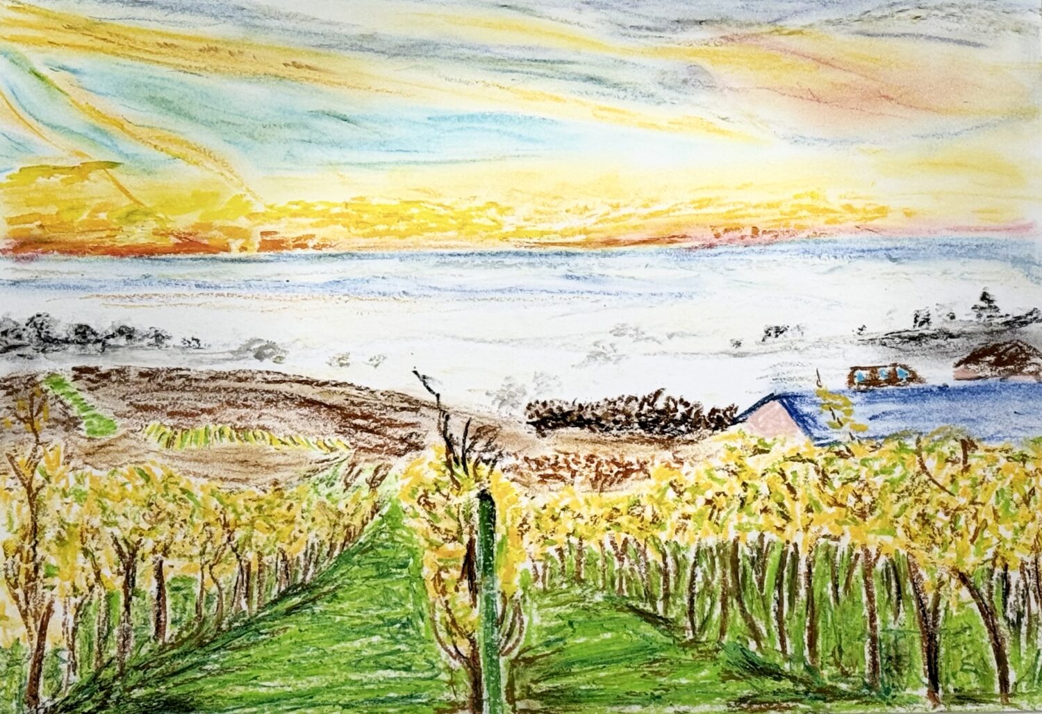 Bunte Buntstiftzeichnung eines Weinbergs bei Sonnenaufgang, mit gelbem Himmel, grünen Reihen und entfernten Gebäuden.