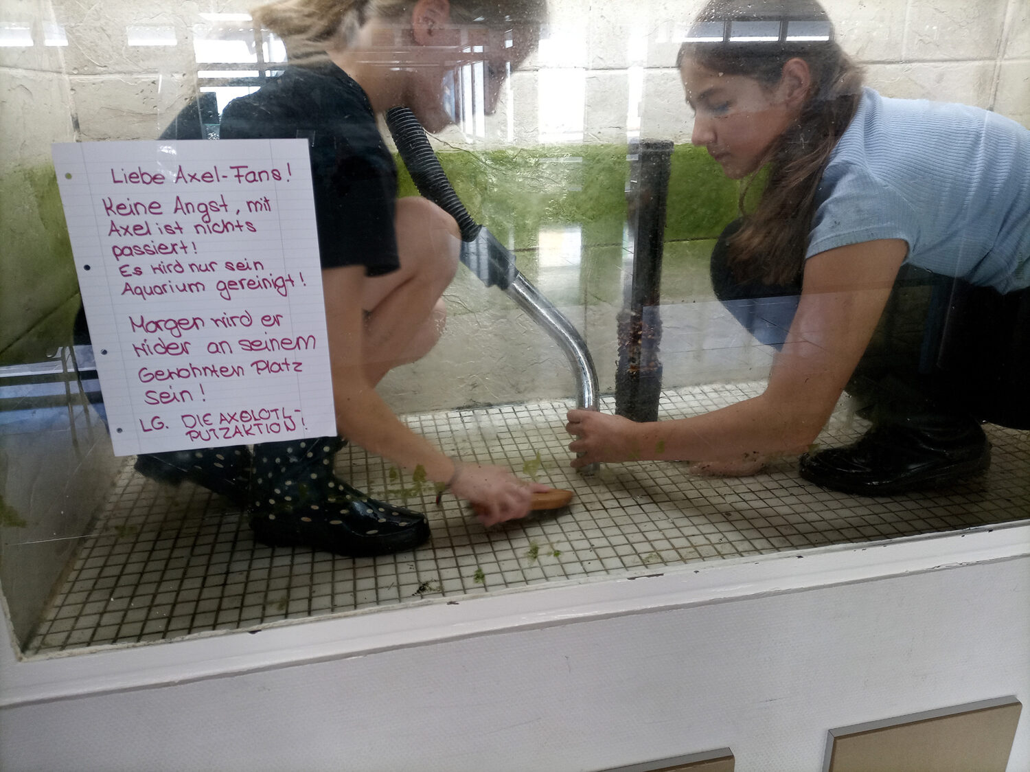 Zwei Personen reinigen gemeinsam ein leeres Aquarium; an der linken Seite des Beckens ist ein Zettel an die Scheibe geklebt.